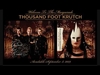 Thousand Foot Krutch - The Part That Hurts The Most Ringtone Download Free MP3