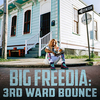 Big Freedia Feat. Lizzo - Karaoke Ringtone Download Free MP3