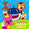 PINKFONG - Baby Shark Ringtone Download Free MP3