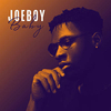 JOEBOY - Baby Ringtone Download Free MP3