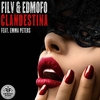 Filv & Edmofo - Clandestina Ringtone Download Free MP3