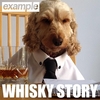 Example - Whisky Story Ringtone Download Free MP3