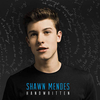 Shawn Mendes - Aftertaste Ringtone Download Free MP3