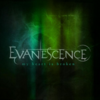 Evanescence - My Heart Is Broken Ringtone Download Free MP3