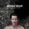 James Blunt - Cold Ringtone Download Free MP3