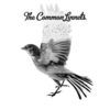 The Common Linnets - Calm After The Storm Ringtone Download Free MP3