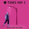 Tones And I - Never Seen The Rain Ringtone Download Free MP3