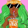 Riton & Kah-Lo - Ginger Ringtone Download Free MP3