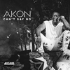 Akon - Can't Say No Ringtone Download Free MP3