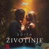 Zivotinje Ringtone Download Free