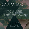 Calum Scott & Leona Lewis - You Are The Reason (Duet Version) Ringtone Download Free MP3