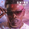 Ariel Sheney - Amina Ringtone Download Free MP3