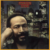 Marvin Gaye - Sexual Healing Ringtone Download Free MP3