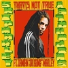 Skip Marley Feat. Damian 'Jr. Gong' Marley - That's Not True Ringtone Download Free MP3