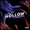 Rob Gasser - Hollow Ringtone Download Free MP3