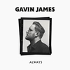 Gavin James - Always Ringtone Download Free MP3