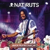 Natiruts - Amor Pra Recomeçar Ringtone Download Free MP3