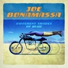 Joe Bonamassa - Different Shades Of Blue Ringtone Download Free MP3