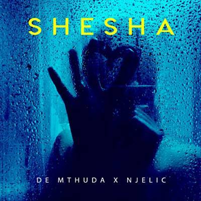 Shesha Ringtone Download Free