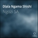 Dlala Ngama Shishi Ringtone Download Free