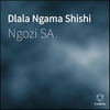 Ngozi SA - Dlala Ngama Shishi Ringtone Download Free MP3