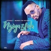 Donald Feat. Mlindo The Vocalist - Ngiyazfela Ringtone Download Free MP3