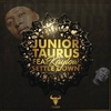 Junior Taurus Feat. Kaylow - Settle Down Ringtone Download Free MP3