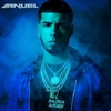 Anuel AA - Quiere Beber Ringtone Download Free MP3