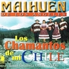 Maihuen De Los Angeles - Llorando Ausencia Ringtone Download Free MP3