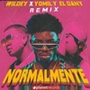 Wildey & Yomil Y El Dany - Normalmente (Remix) Ringtone Download Free MP3