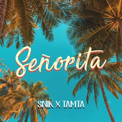 Senorita Ringtone Download Free