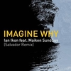 Ian Ikon Feat. Maiken Sundby - Imagine Why (Salvador Remix) Ringtone Download Free MP3