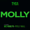 Tyga - Molly Ringtone Download Free MP3