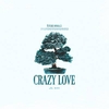 Future Animals - Crazy Love Ringtone Download Free MP3