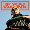 Maximillian - If You Wanna Ringtone Download Free MP3