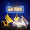 Cheba Souad Feat Hichem Smati - Mi Vida Ringtone Download Free MP3