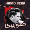 Hammo Beka Feat. Hassan Shakoush & Ali Qadoura - Ento Zay Wlady Ringtone Download Free MP3