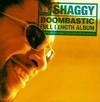 Shaggy - Boombastic Ringtone Download Free MP3