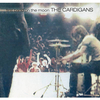 The Cardigans - Lovefool Ringtone Download Free MP3