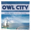 Owl City - Fireflies Ringtone Download Free MP3