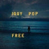 Iggy Pop - James Bond Ringtone Download Free MP3