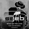 Seeb Feat. Jacob Banks - What Do You Love Ringtone Download Free MP3