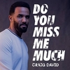 Craig David - Do You Miss Me Much Ringtone Download Free MP3