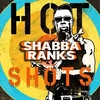 Shabba Ranks - Swarm Mi Ringtone Download Free MP3