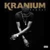 Kranium - Can't Give A. Ringtone Download Free MP3