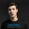 Shawn Mendes & Camila Cabello - I Know What You Did Last Summer Ringtone Download Free MP3