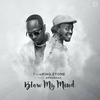 Flowking Stone Feat. Akwaboah - Blow My Mind Ringtone Download Free MP3