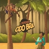 J.Derobie - Odo Bra Ringtone Download Free MP3