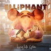 Elliphant - Love Me Badder Ringtone Download Free MP3