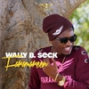 Wally B. Seck - Faramareen Ringtone Download Free MP3